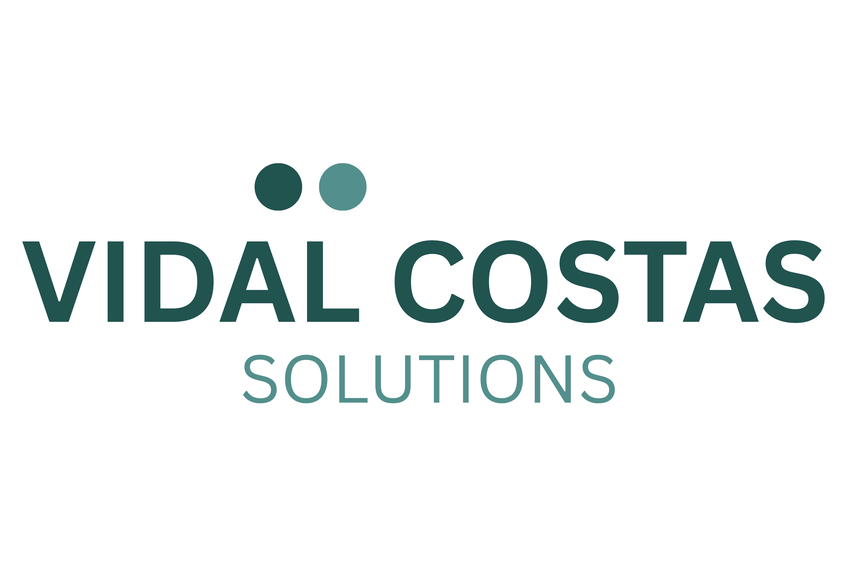 VIDAL COSTAS SOLUTIONS Logo